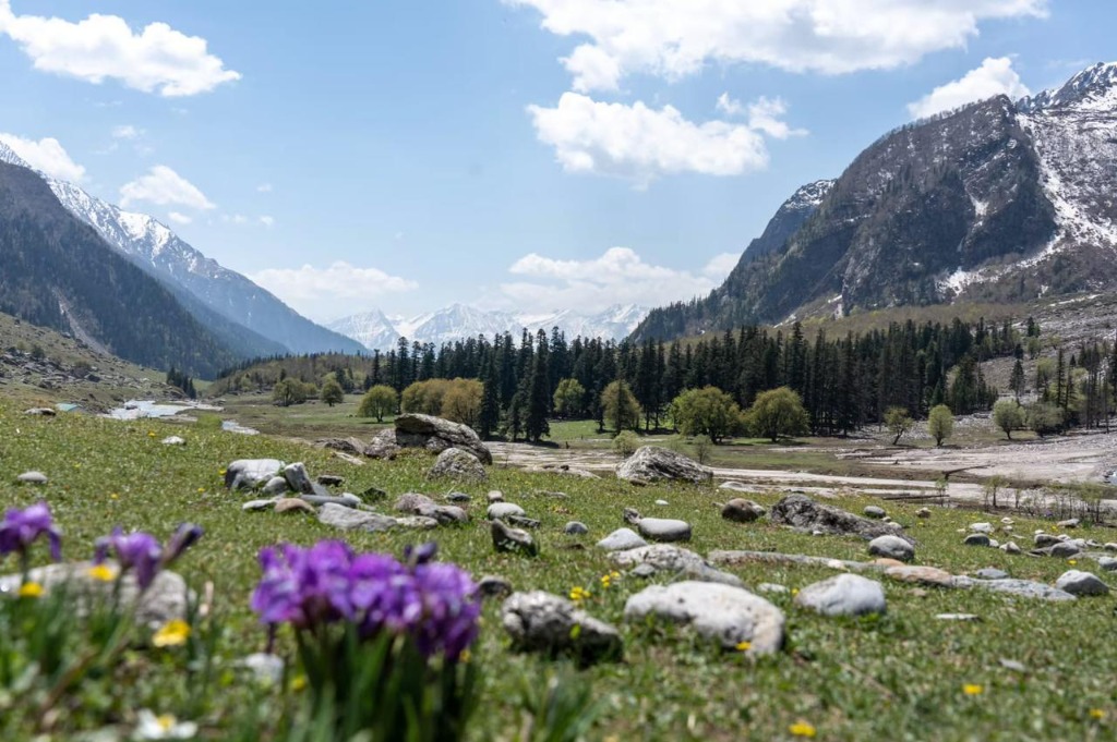 Mountain Valley Basecamp